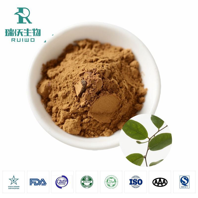 Gymnema Sylvestre ekstrakto milteliai